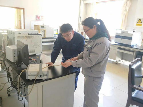 千里保試車 巾幗競(jìng)風(fēng)流 記公司最美女工 義馬氣化廠外派技術(shù)服務(wù)人員 王輝